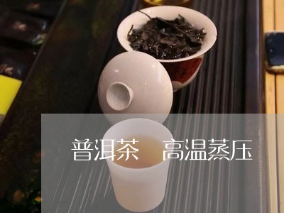 普洱茶 高温蒸压/2023041198371